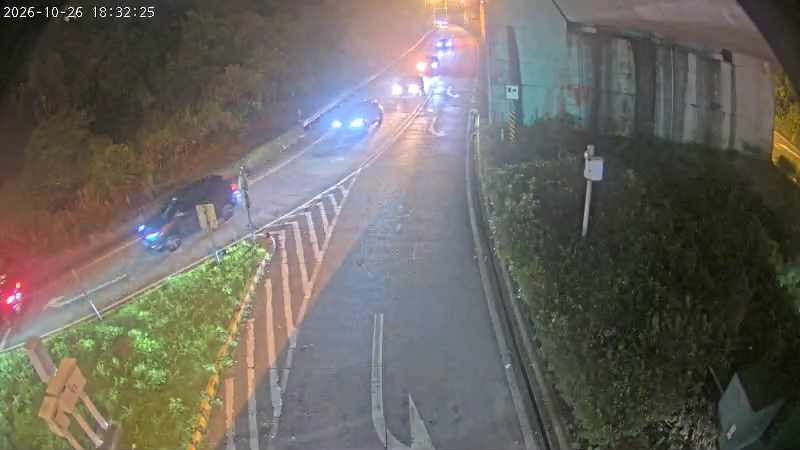 台62甲 孝東路(南)